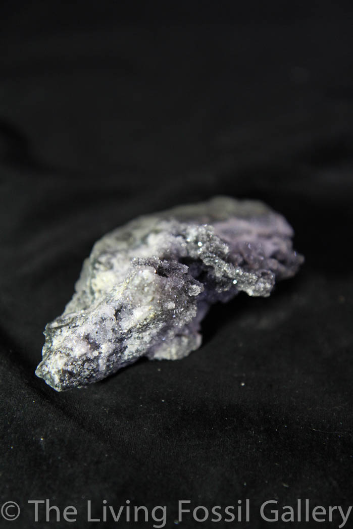 Black Amethyst Cluster-689