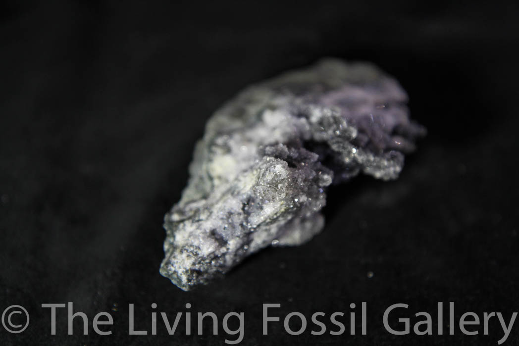 Black Amethyst Cluster-693
