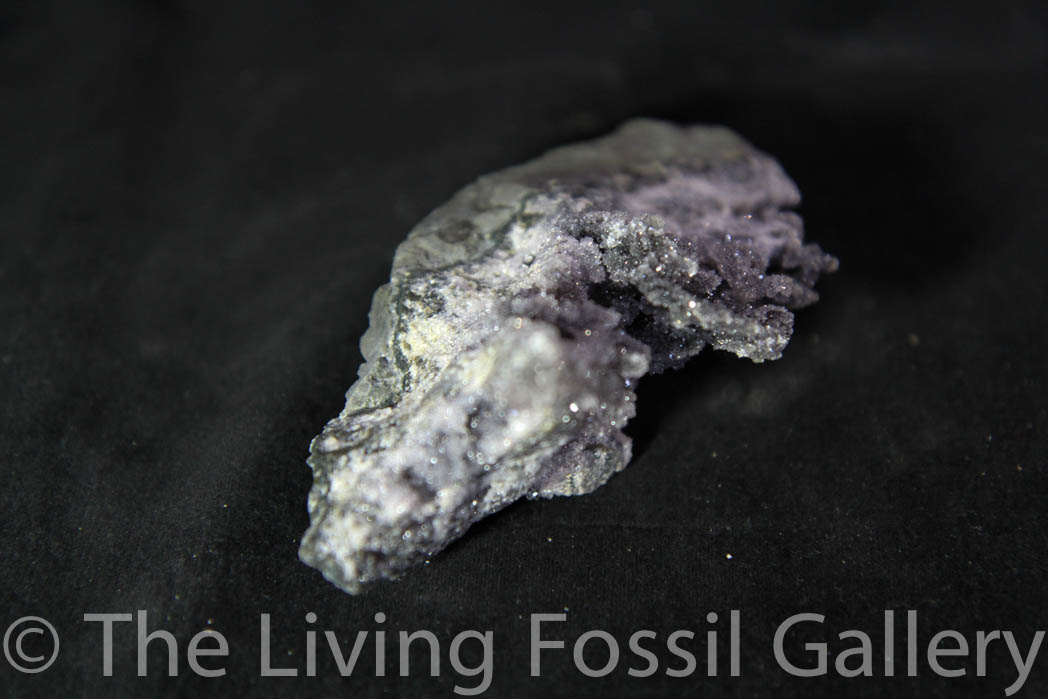 Black Amethyst Cluster-691