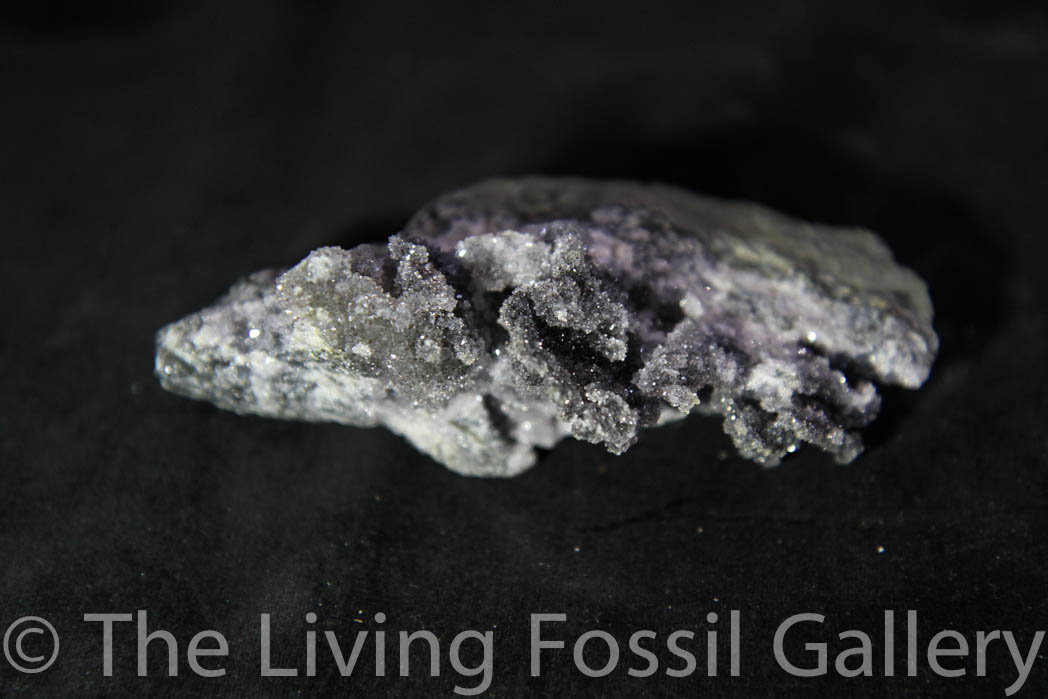 Black Amethyst Cluster-692
