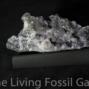 Black Amethyst Cluster-0