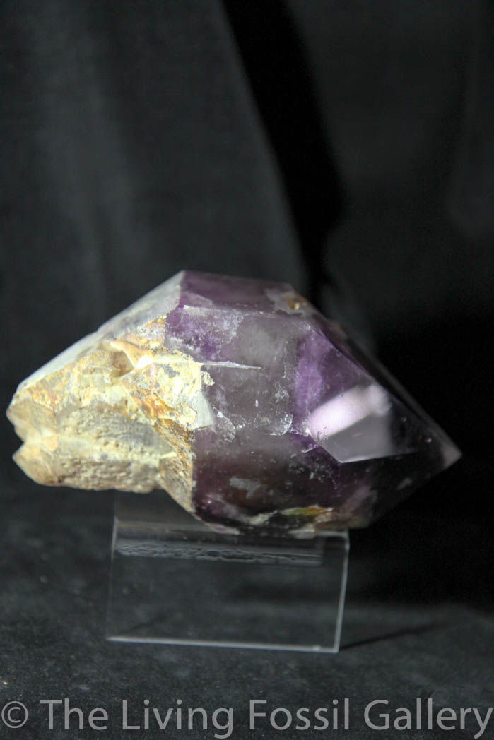 Amethyst Sceptre-512