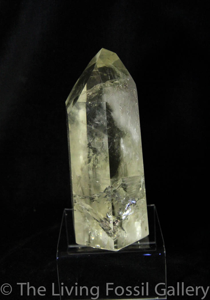 Citrine Generator-542