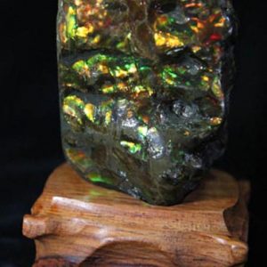 Ammolite - Suiseki Stone - AA Grade -0
