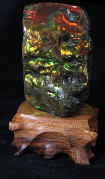 Ammolite - Suiseki Stone - AA Grade -0