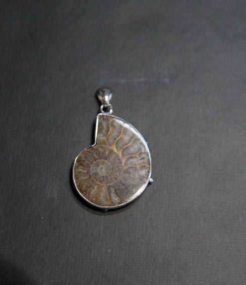 Ammonite Pendant in Silver-0