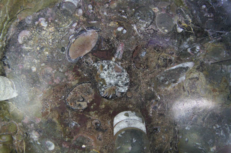 Round Platter Medium-1348 Round Platter Medium-1348