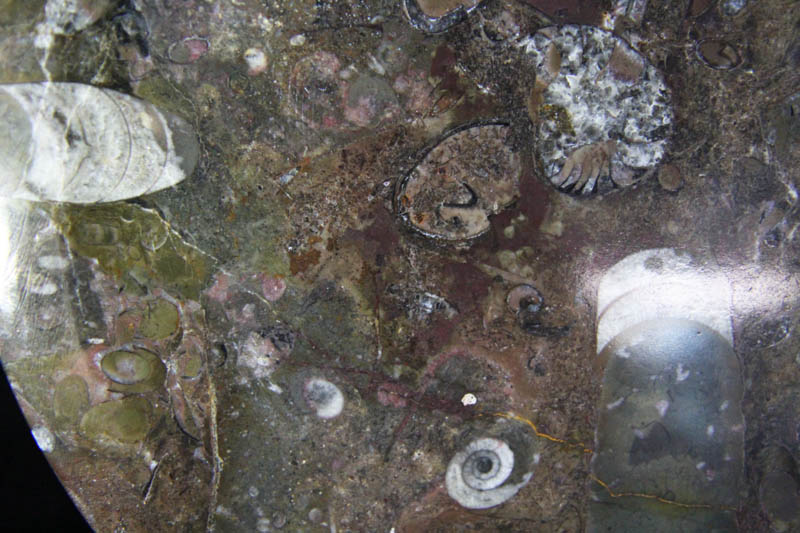 Round Platter Medium-1349 Round Platter Medium-1349