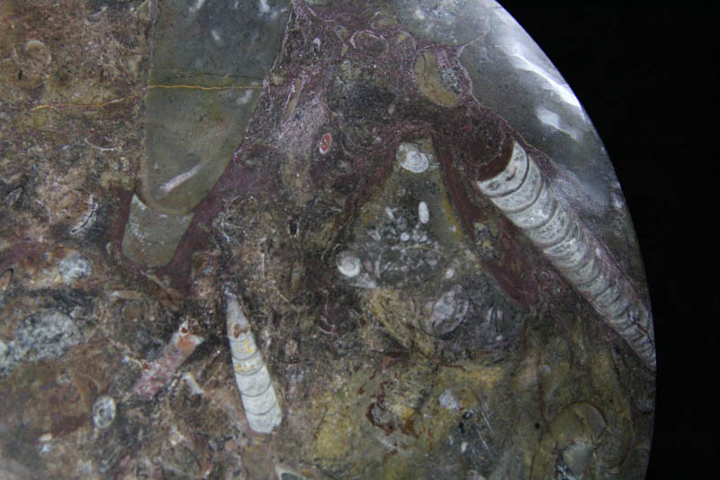 Round Platter Medium-1344 Round Platter Medium-1344