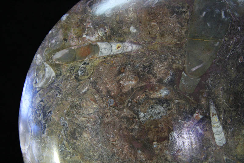 Round Platter Medium-1341 Round Platter Medium-1341