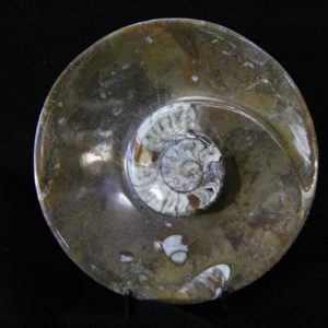 Ammonite Round Bowl Small-0