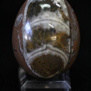 Fossil Egg Brown - Medium-0