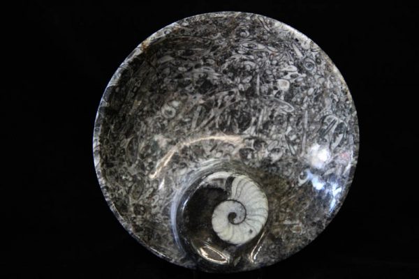 Ammonite Round Bowl Medium-0