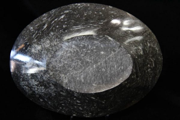 Ammonite Oval Bowl Medium-1450