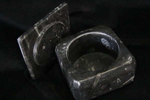 Fossil Container Square-1454