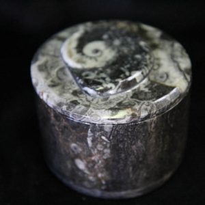 Fossil Pot Round Medium-0