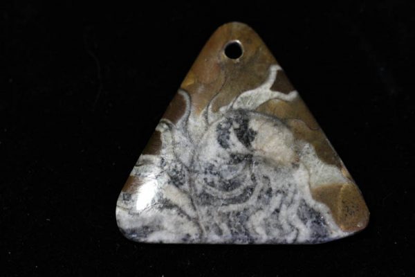 Ammonite Pendant X grade - Triangle-1473