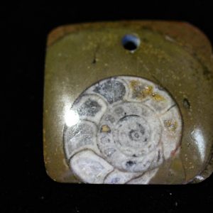 Ammonite Pendant A grade - Rectangle-0