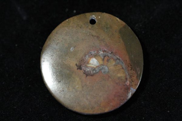 Ammonite Pendant X grade - Circle-1479