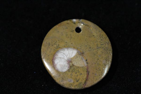 Ammonite Pendant A grade - Circle-1486