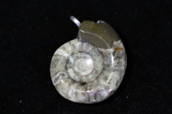 Ammonite Pendant - Brown-0