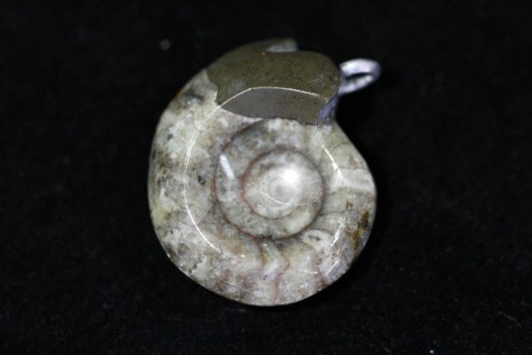 Ammonite Pendant - Brown-1492