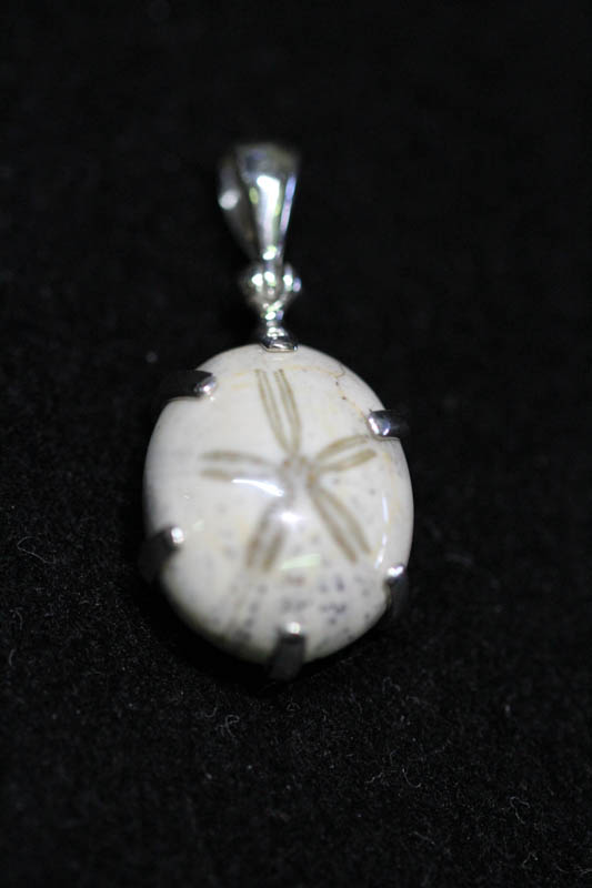 Echinoid Pendant-0