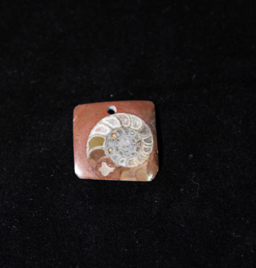 Ammonite Pendant A grade - Square-0