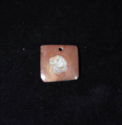 Ammonite Pendant A grade - Square-1909