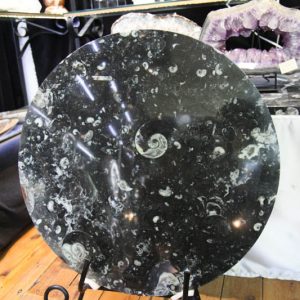 Fossil Marble Table-0