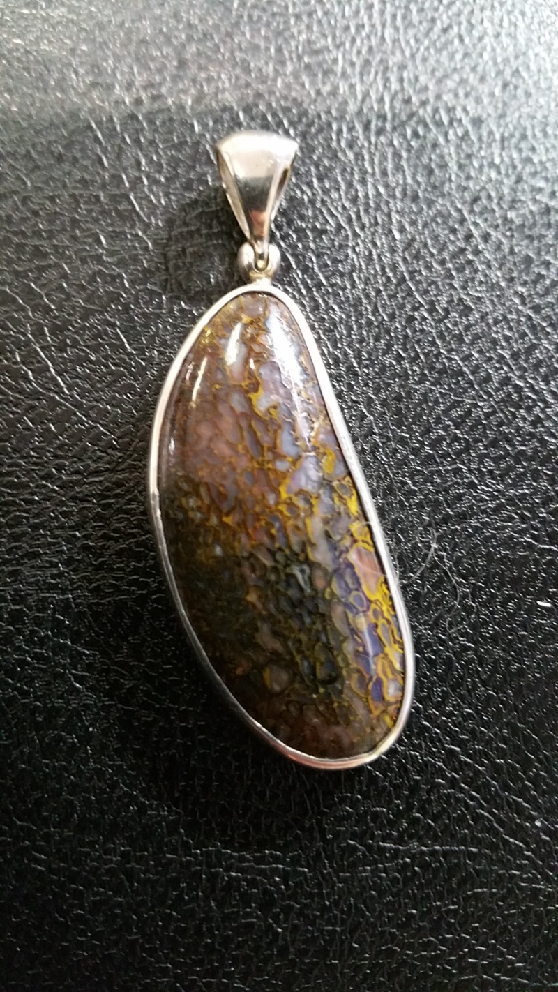 Dinosaur Bone Agatised-0