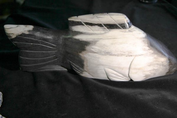 Petrified Wood Fish-0