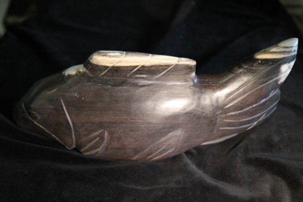 Petrified Wood Fish-2572