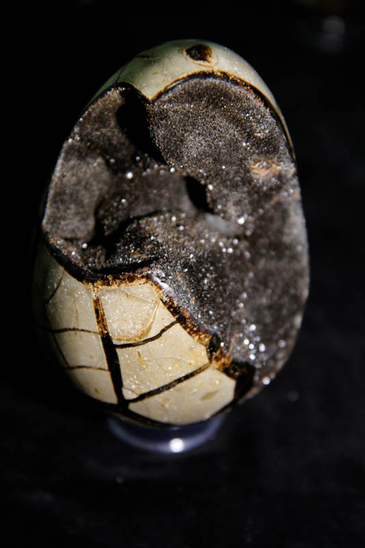 Septarian Egg Medium-0