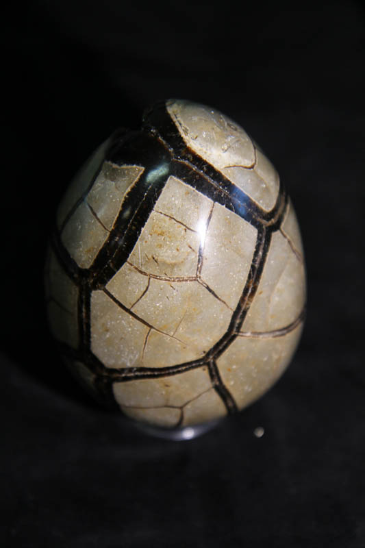 Septarian Egg Medium-2647