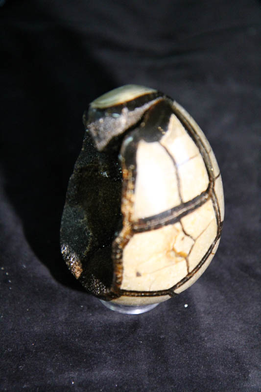 Septarian Egg Medium-2648