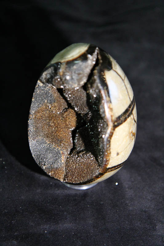 Septarian Egg Medium-2649