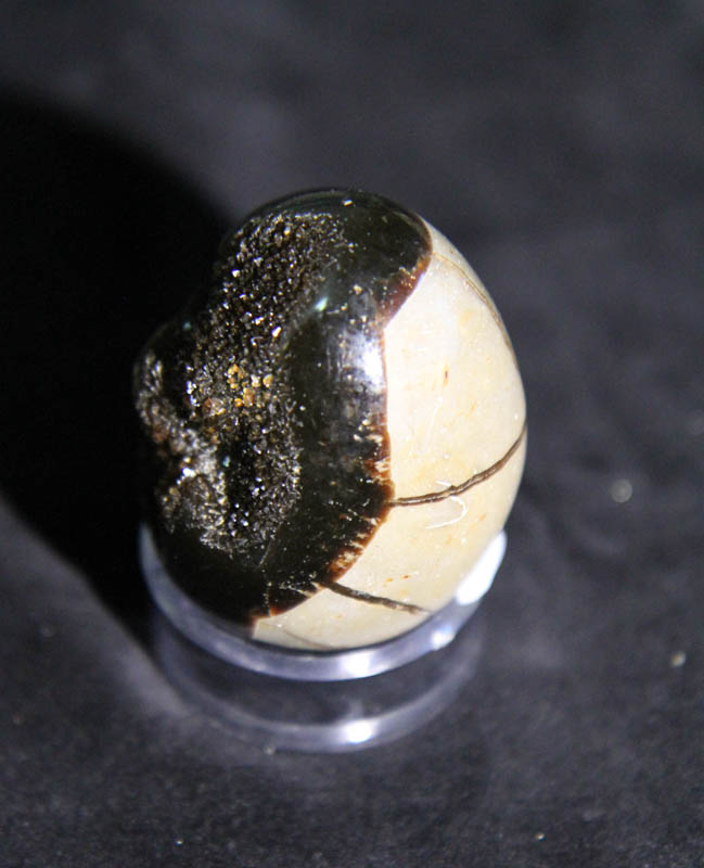 Septarian Egg-2657
