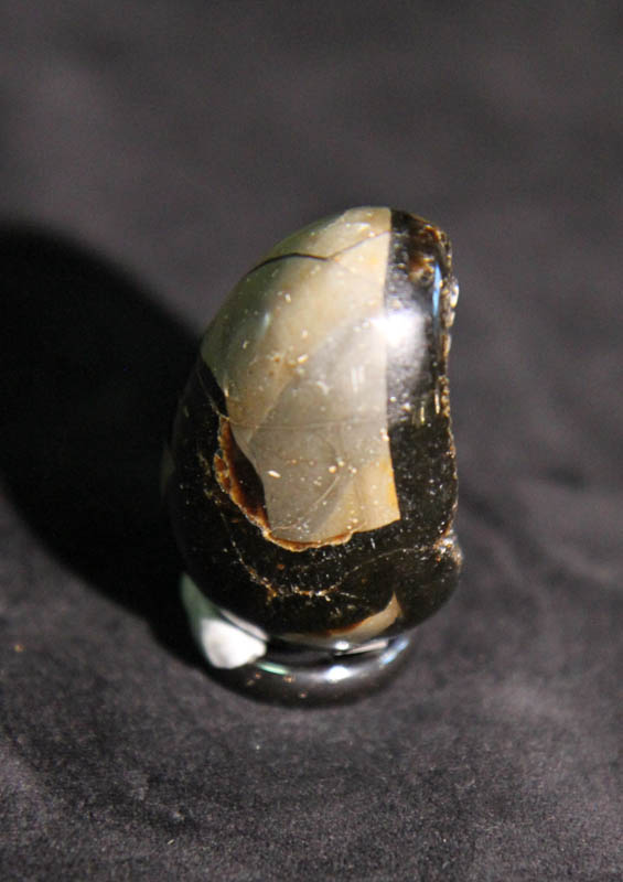 Septarian Egg-2658