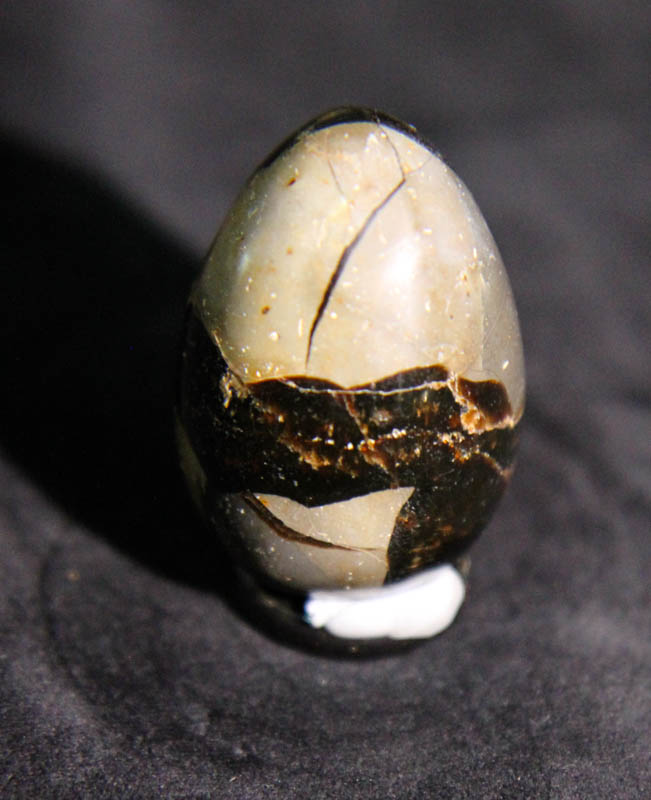 Septarian Egg-2660
