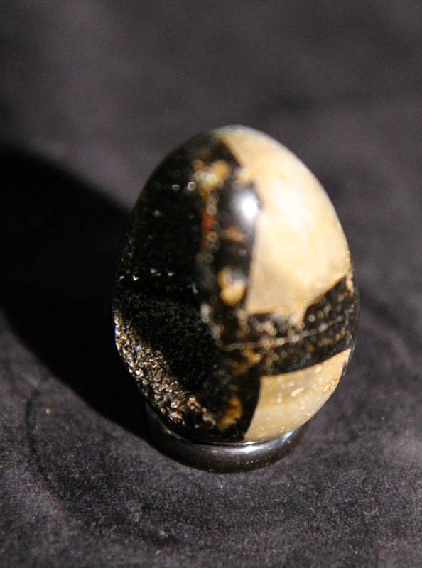 Septarian Egg-2662