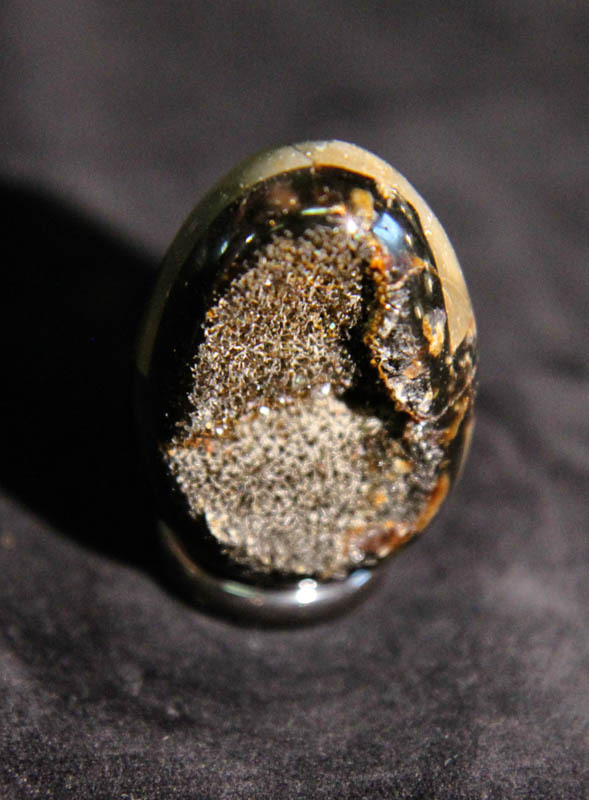 Septarian Egg-2659