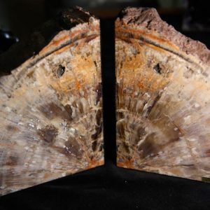 Arizona Petrified Wood Bookends-0