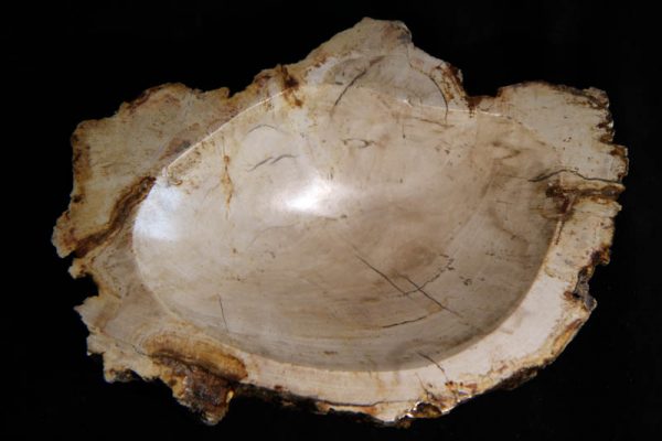Petrified Wood Bowl-2729