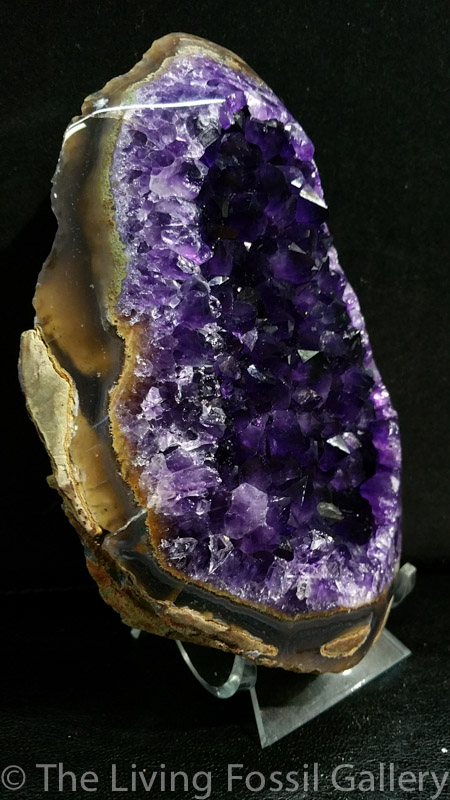Amethyst Geode-3533