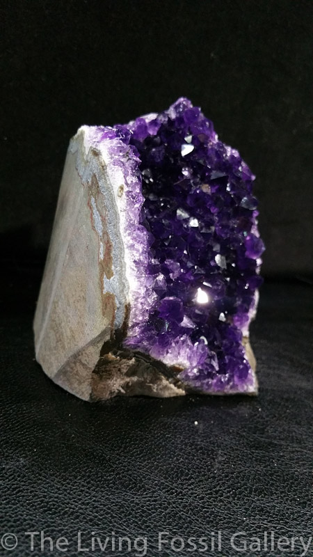 Amethyst Geode-3558